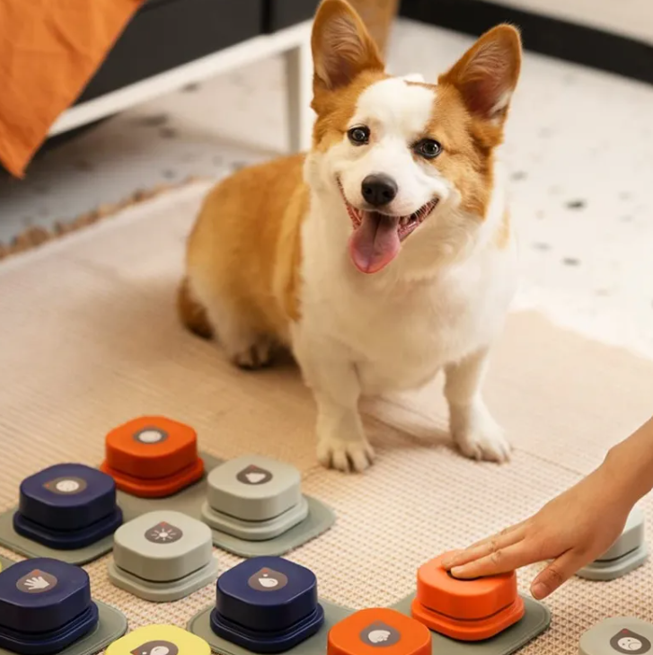 The TalkPaw Button