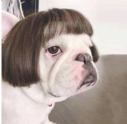 The FurFlair Pet Wig