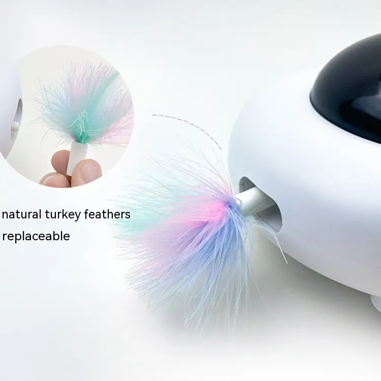 The SpinSpark Cat Toy