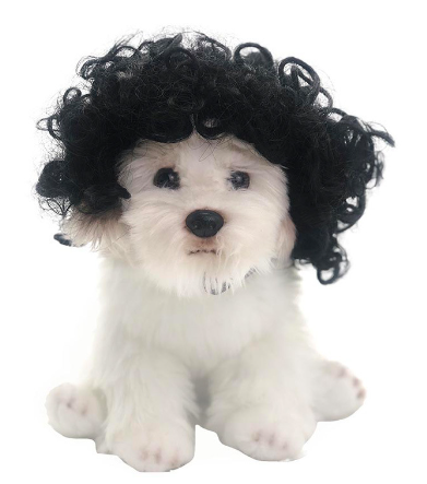The FurFlair Pet Wig