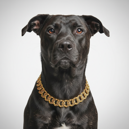 Diamond Dog Chain Necklace